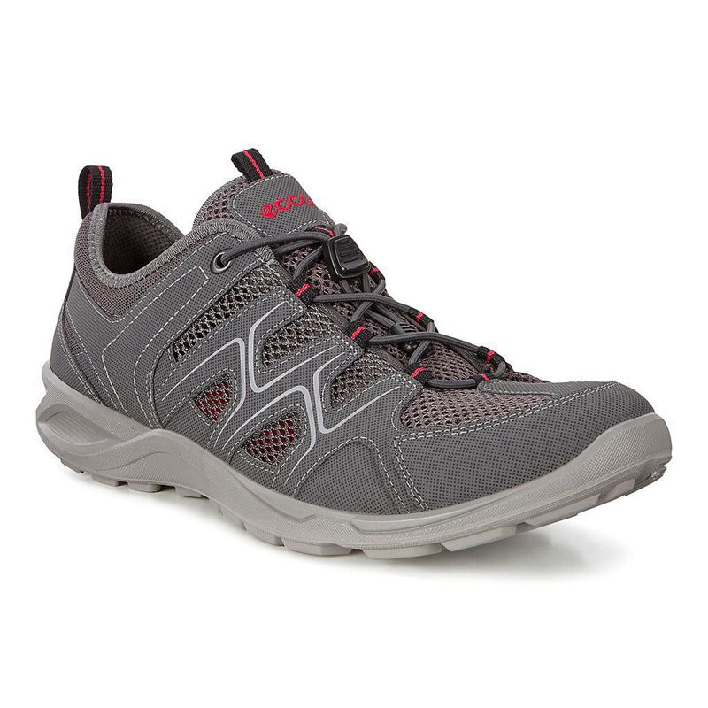 Men Outdoor Ecco Terracruise Lt M - Outdoor Grey - India AIJZLE301